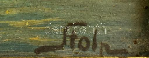 Stolp jelzéssel, XX. sz. eleje: Vízparti táj. Olaj, karton. Korabeli szecessziós fakeretben. 21x32 c...