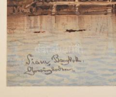 Eduard Hildebrandt (1818-1868) akvarelljei után: 21 db lap a Reise um die Erde (világkörüli utazás) ...