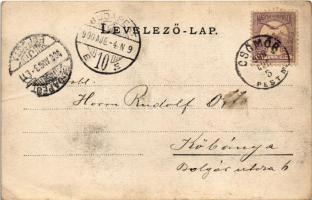 1900 Csömör, Zia Lak (?). photo (fa)