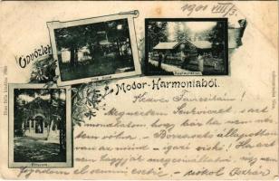 1901 Modor-Harmónia, Modra; Villa Ilona és étterem. Blau Béla kiadása / villa and restaurant. Art Nouveau, floral (EK)