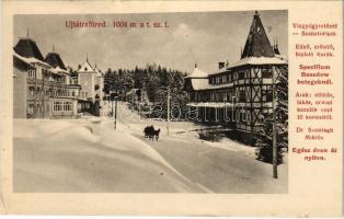 Újtátrafüred, Neu-Schmecks, Novy Smokovec (Magas-Tátra, Vysoké Tatry); Vízgyógyintézet télen, reklám, lovas szán / sanatorium in winter, horse sled, advertisement (Rb)