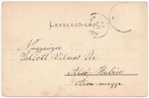 Éberhárd, Eberhart, Malinovo; Eberhard-tőkési komp a Kis-Dunán / ferry to Zálesie on Little Danube (...