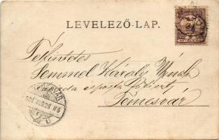 1901 Paripás, Parabuty, Parabutsch, Parabuc, Ratkovo; Falusi libák / village geese. photo