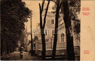 1908 Pöstyén, Piestany; Parksor. Gipsz H. 967. / Parkzeile / villas (fa)