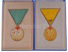~1970-1980. "30. és 50. Véradásért" aranyozott, műgyantás fém jelvény, mellszalagon és eredeti tokban (2xklf) T:AU