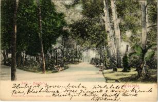 1912 Pöstyén, Piestany; park / Hauptallee / promenade
