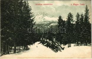 Tátra, Magas-Tátra, Vysoké Tatry; Bobsleigh menet közben, öt személyes kormányozható bob, téli sport. Divald Károly 2077-1909. / winter sport, 5-men controllable sled