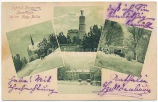 1910 Brogyán, Brodzany (Nagybélic, Velké Bielice); Schloss / Várkastély Bars megyében, tél / castle in winter (fl)