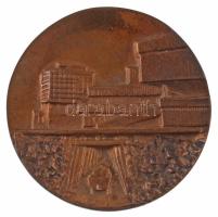 1972. "Ötven éve város Salgótarján" kétoldalas bronz emlékérem (62mm) T:AU