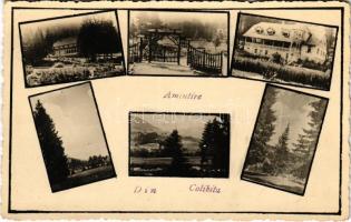 Kolibica, Colibita; mozaiklap / multi-view postcard