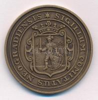 Bognár György (1944-) 1988. "MÉE Nógrád megye - Nógrádi várak sorozat Buják vára / Sigillum Com...