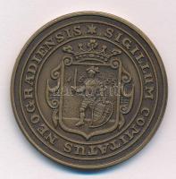 Bognár György (1944-) 1991. "MÉE Nógrád Megyei Szervezete - Salgó vára" bronz emlékérem (4...