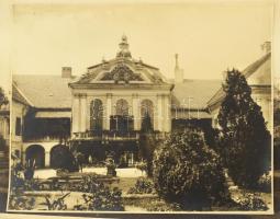 cca 1920-1930 Nagytétény, kastélyrészletek, 11 db fotó, 29,5×39,5 cm