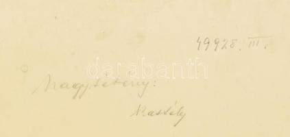 cca 1920-1930 Nagytétény, kastélyrészletek, 11 db fotó, 29,5×39,5 cm