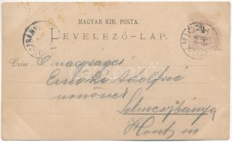 1898 (Vorläufer) Stájerlak, Steierlak, Stájerlakanina, Steierdorf, Anina; látkép / general view (fa)