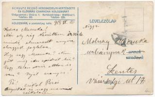 1918 Kolozsvár, Cluj; Schultz villa és kertrészlet. Brétfű út 1. Hátoldalon Schultz Rezső Kereskedel...