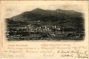 1902 Petrozsény, Petroseni, Petrosani; látkép, háttérben a Parenggal. Joanovits és Sternád kiadása / general view, mountain (EK)