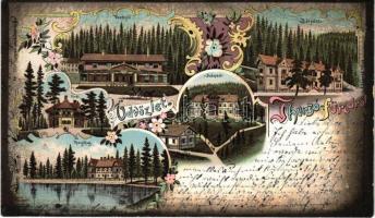 1903 Thurzófüred, Kupele Turzo (Gölnicbánya, Gelnica); Vendéglő, étterem, fürdőház, Budapest, Bányász és Thurzóház villák / restaurant, bathhouse, villas, spa. Schwidernoch Károly Art Nouveau, floral, litho (r)