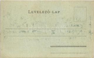 Thurzófüred, Kupele Turzo (Gölnicbánya, Gelnica); Thurzó-ház. Breitner Mór kiadása / villa (EK)