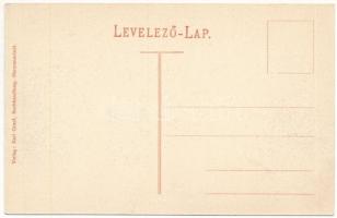 Nagyszeben, Hermannstadt, Sibiu; Neujahrsgrusse, Schewisgasse mit Korpskommandanten Palais / Schewis...