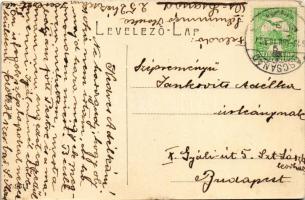 1913 Őscsanád, Németcsanád, Marosvár, Cenadu Vechi (Nagycsanád, Cenad); Szerb-csanádi községháza. W....