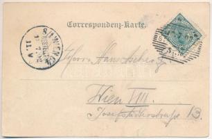 1902 Radna (Sevnica), Mirna river, general view. Zwenkel & Co. (fa)