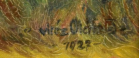 vitéz Oláh József (?-?), működött a XX. sz. első felében: Balatoni vitorlások és fürdőzők. Olaj, vás...