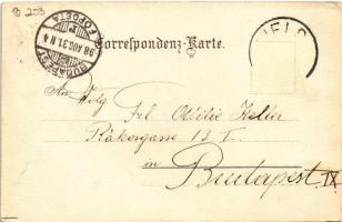 1898 (Vorläufer) Wels, Stadtplatz mit Ledererturm / square, tower. litho (EK)