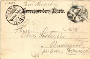 1903 Wien, Vienna, Bécs; Hofoper / opera house. litho (fl)