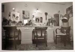 Frankl Aliona: Múltidéző mesterségek Bp., 2007
Szerzői Kiadás, Fényképeket tartalmazó album 
 Kiad...