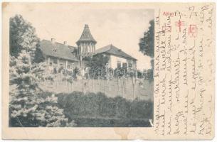1910 Ajton, Aiton; Sándor Béla kastélya a gyümölcsössel, Zeyke Irma Bárónőnek küldött képeslap / villa, orchard (b)