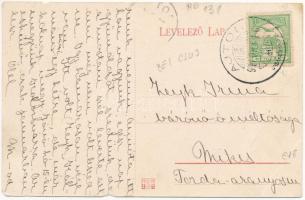 1910 Ajton, Aiton; Sándor Béla kastélya a gyümölcsössel, Zeyke Irma Bárónőnek küldött képeslap / vil...