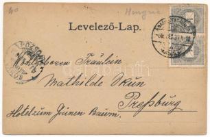 1899 (Vorläufer) Nagyszentmiklós, Sannicolau Mare; Városháza, Révai Miklós szobor, Polgári fiúiskola...