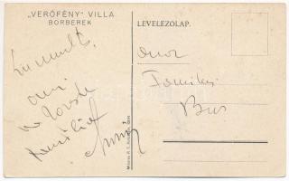 Radnaborberek, Borberek-fürdő, Valea Vinului; "Verőfény" villa / villa