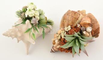 2 db tengeri kagylókból, csigaházakból kialakított dísz, kerek fémdobozban