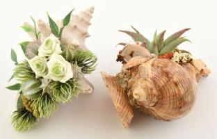 2 db tengeri kagylókból, csigaházakból kialakított dísz, kerek fémdobozban