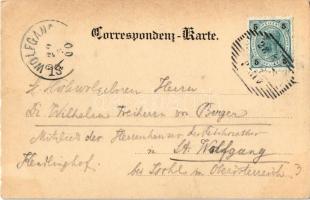 1900 Höllental, Schwarza bei Hirschwang / riverside (b)