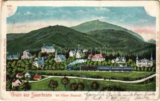 1900 Savanyúkút, Bad Sauerbrunn bei Wiener Neustadt; látkép, gőzmozdony, vonat / general view, locomotive, train (EM)