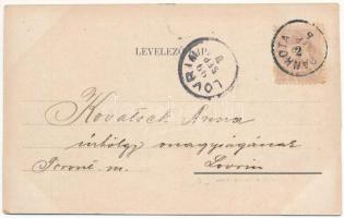 1899 (Vorläufer) Pankota, Pancota; Herczeg Sulkovski kastély / castle (EK)