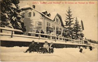 1913 Sankt Corona am Wechsel, Loitzl's Gasthof zum Waldhof im Winter / inn, restaurant, hotel, sledding people, winter sport (crease)