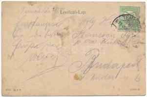 1911 Temesvár, Timisoara; Hunyady utca, Deutsch Testvérek üzlete, lovashintó / street, shop, horse c...