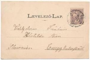 1901 Báziás, vasútállomás, piac, MFTR gőzös hajókirándulás / railway station, market, boat trip (EK)