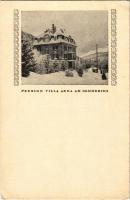 Semmering, Pension Villa in winter (non PC) (fa)
