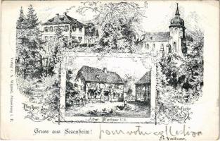 1899 (Vorläufer) Sessenheim, Sesenheim; Pfarrhaus, Altes Pfarrhaus 1770, Dorfkirche / parish, church. Art Nouveau, floral (small tear)