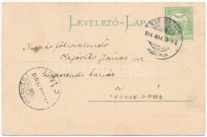 1914 Sebesrom, Sebestorony, Rujen, Turnu Ruieni (Karánsebes); Ovidius torony falubeliekkel. Rosenfel...