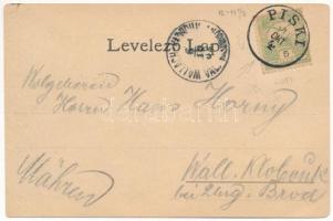 1903 Piski, Simeria; A piski csata (F. Breidwieser festménye után), Bem-szobor, emlékmű. Főző József...