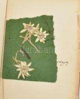 Géhl Zoltán (1888-1954) festőművész emlékkönyve, képekkel, jegyekkel, menükártyákkal sok megfejteni ...