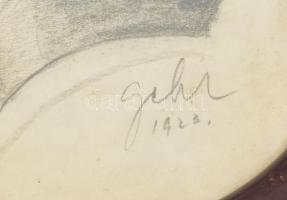 Géhl Zoltán (1888-1954) festőművész emlékkönyve, képekkel, jegyekkel, menükártyákkal sok megfejteni ...