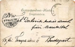 1902 Gruss aus Bosnien und Hercegovina / Bosnian folklore. Pacher & Kisic (Mostar) Art Nouveau, ...