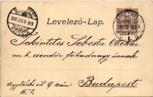 1900 Romantic couple, lady art postcard